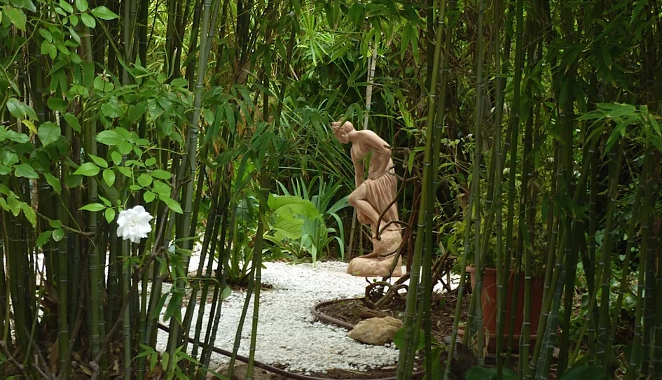 P1000675-960px-crop (1)